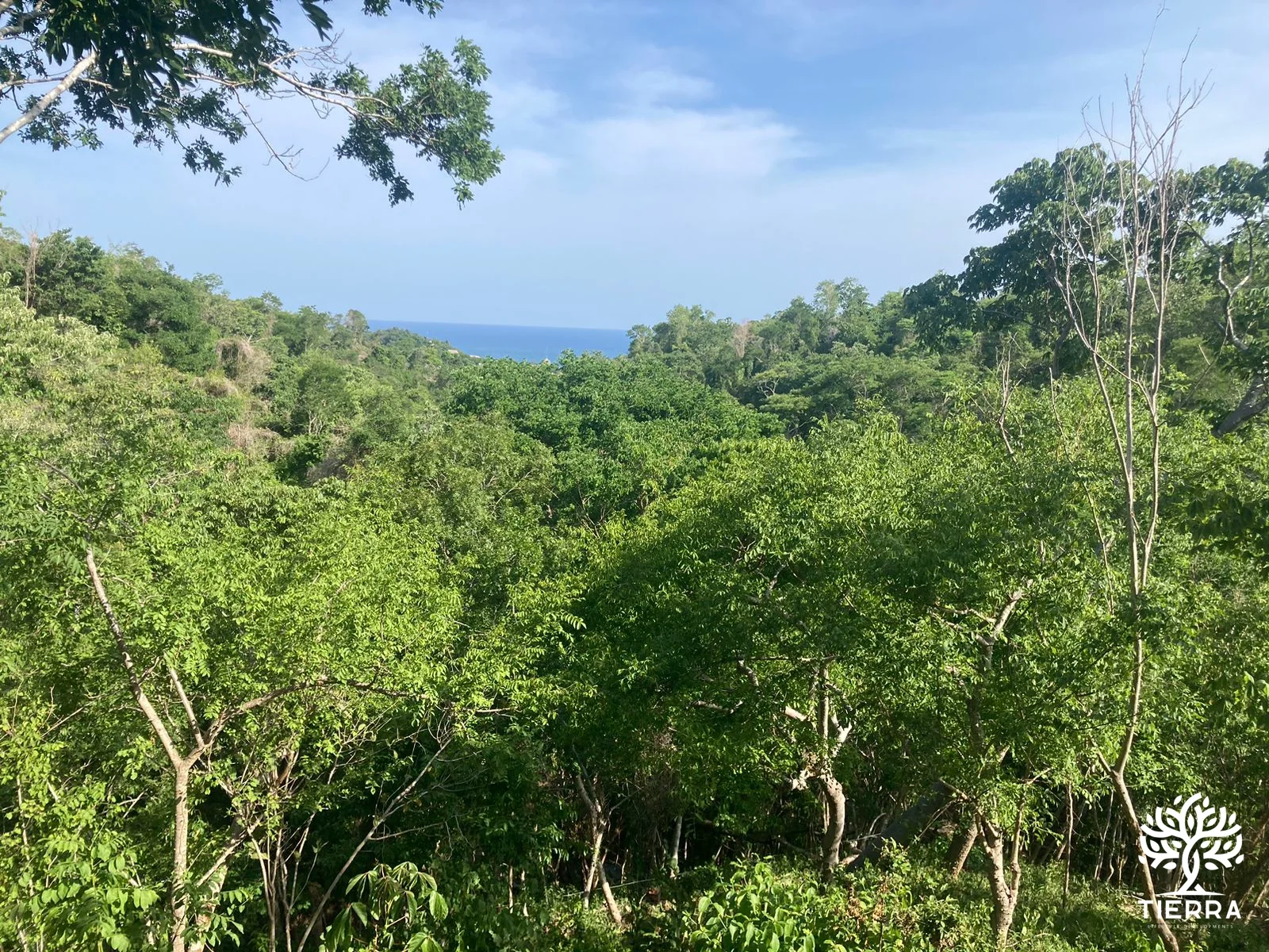 Vista a la costa