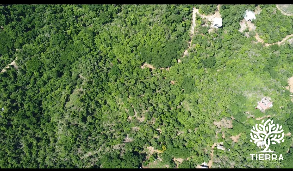Vista al Pacífico