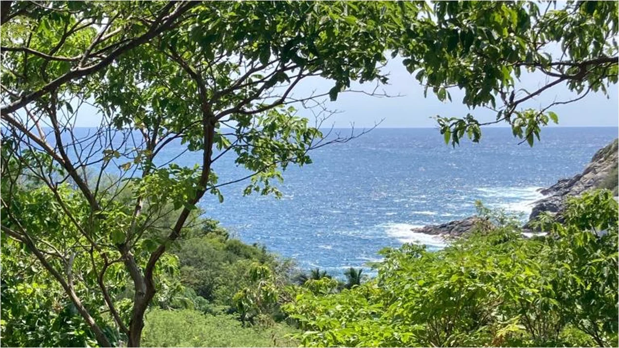El mar desde el terreno